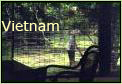 Vietnam 99